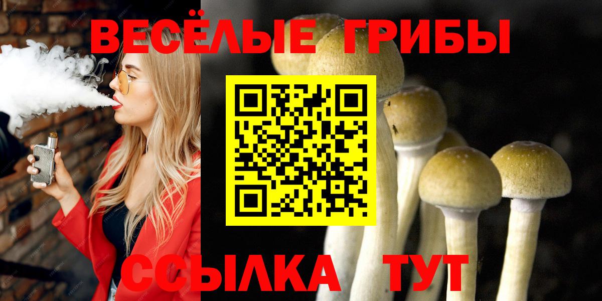 Псилоцибиновые грибы MAGIC MUSHROOMS  Галлюциногенные грибы Psilocybine cubensis  Лабытнанги  Вход с VPN 