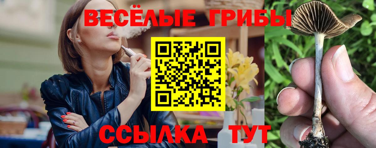 Галлюциногенные грибы мицелий Лабытнанги